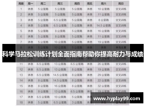 科学马拉松训练计划全面指南帮助你提高耐力与成绩 科学马拉松训练计划全面指南帮助你提高耐力与成绩